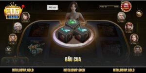 Bầu cua