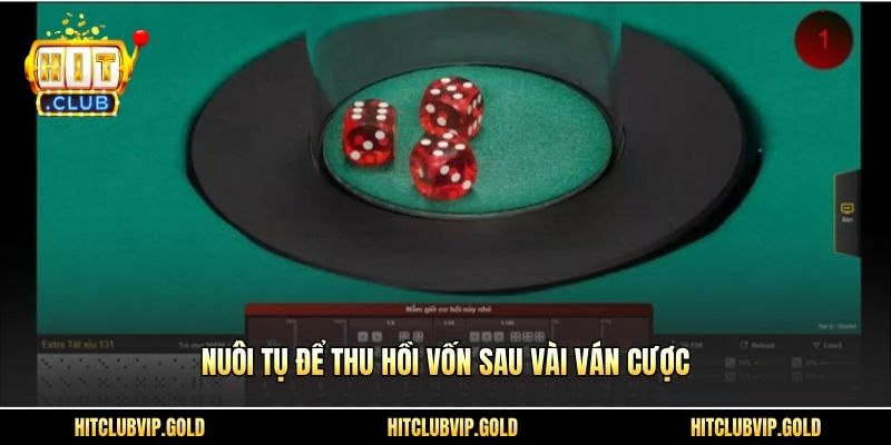 Nuôi tụ để thu hồi vốn sau vài ván cược
