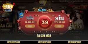 Tài xỉu MD5